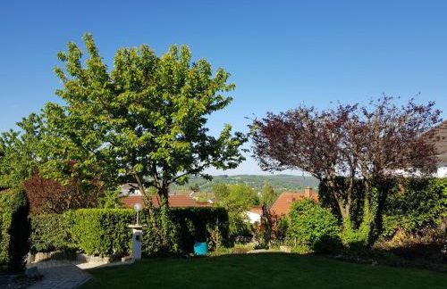 Ferienwohnung am Betzelhübel - Foto 20