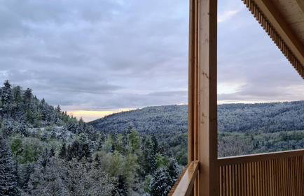 Schwarzwalddeck Deckhäuser - Foto 6