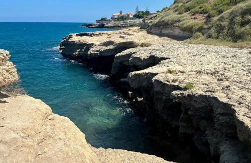 La Rose sur la Mer Two-room apartment with sea view - Foto 12