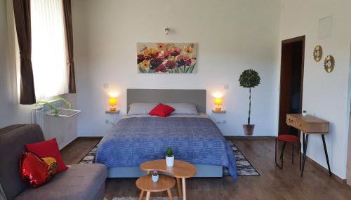 Studio apartmani Toplička bajka - Photo 3