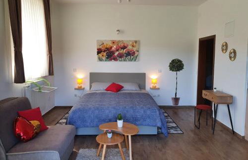 Studio apartmani Toplička bajka - Foto 3