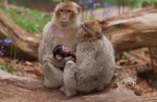 SPACIOUS DETACHED 5 Bedroom4 Bathroom WIFI Parking - Foto 19