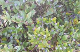 L'Original, Superbe appartement à 5min de la plage - Foto 46