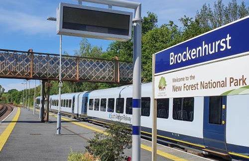 Forest Acorn - Foto 27