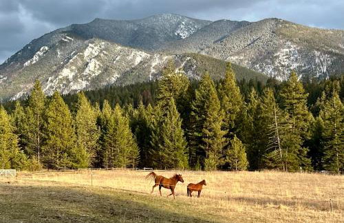 Jocko River Retreat - A Nature Lovers Dream - Foto 34