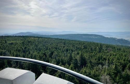 Apartament pod Wielką Sową z Sauną Infrared - Foto 23