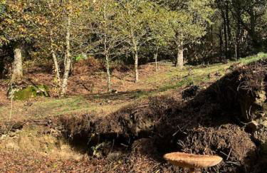 A Casa da Fonte - Foto 17