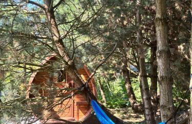 Przystanek Śniardwy - Foto 25