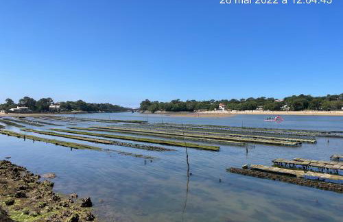 Appartement HOSSEGOR plage SUD Classé 3 étoiles - Foto 55