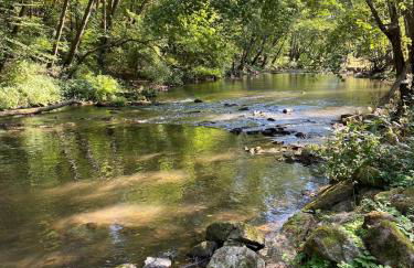 Pension Ingrid - ruhige Ferienwohnung nahe Teufelsschlucht in der Südeifel - Foto 11