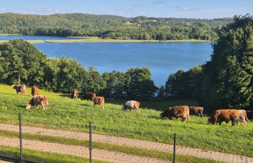 Domek na Kaszubach z jacuzzi i sauną, jezioro, las, Kaszuby, Widokownia Bukowinki - Foto 2