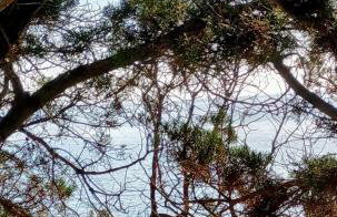 House on Punta - Photo 43