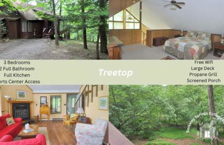 Treetop Cabin -- Pool Access - Fireplace - Grill - Screen Porch - Deck - Wifi - Golf Nearby - Foto 1