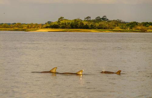 The Raven Treehouse - Foto 42