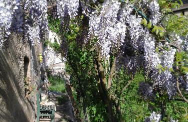 CASA IDA - ClPAT 22253 - Photo 25