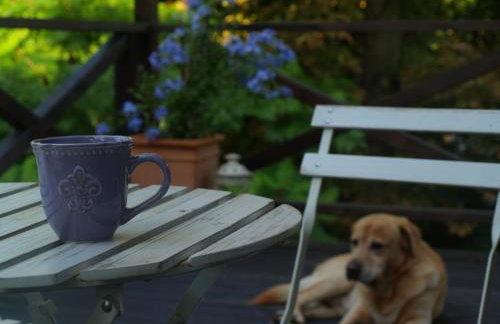 Leśna 6 - House with a garden - Foto 23