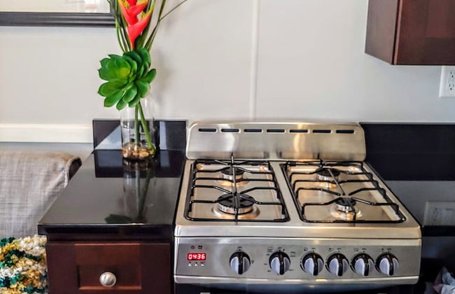 Orlando Lakefront Tiny House Community - Foto 64