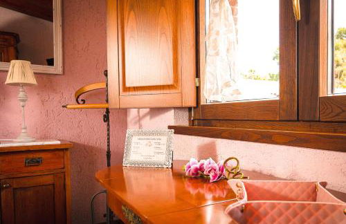 Garden Cactus - Foto 61