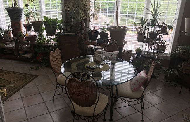 The Lakeside Resort - Foto 43