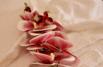 Casa A & M - Foto 15