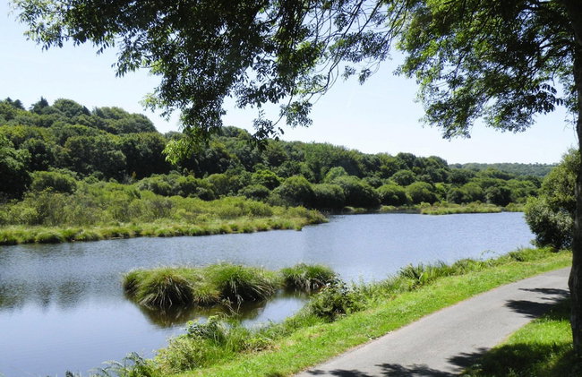 Holiday Home in Guerlesquin Near Lake - Foto 17