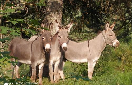 Re(s)source - Foto 12