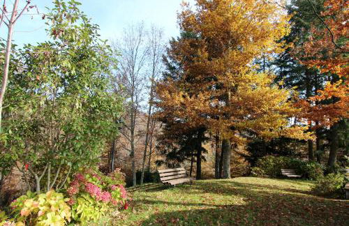 Borgo Caiano Country Inn - Foto 67