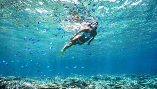 Practicando snorkel en Cala Saona