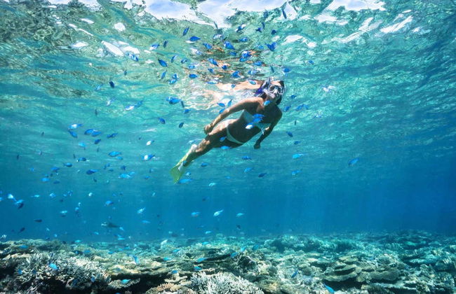 Escursione a Formentera e Cala Saona - Foto 3