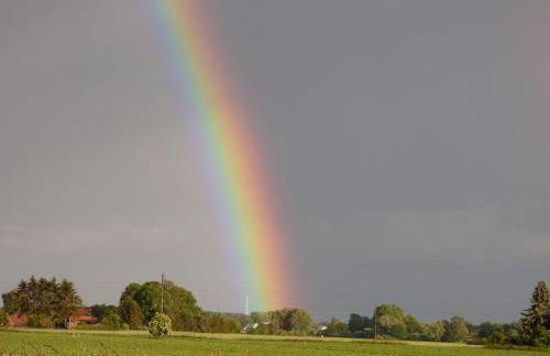 Ferienhaus-Natur-Erholung-Pur-Mecklenburgische-Seenplatte-zwischen-Mueritz-und-Ostsee - Foto 29