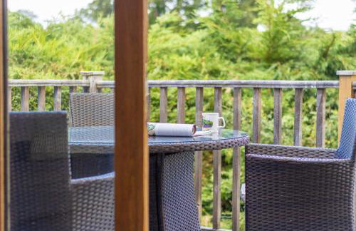 Pod3 - Powys River Pods - Pet Friendly Glamping Pod Builth Wells Powys Wales - Foto 20