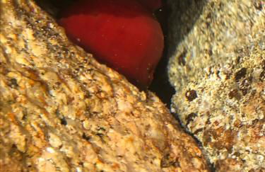 Casa di Maia, piscina, posto auto e giardino - Foto 68