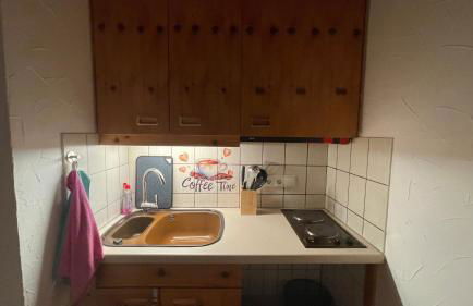 Relax-Wohnung mit Sauna und Badewanne - Foto 26