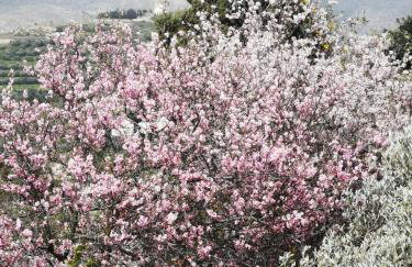 Casa Opuntia - Foto 56