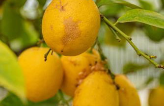 KrinesGReece - Foto 41