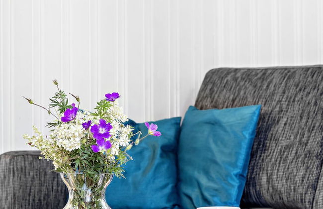 First Camp Kolmården - Foto 25