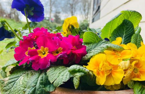 Ferienhof Alte Wildmeisterei - Fewo Gartenblick - Foto 12