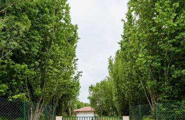 Casa da Eira "Lavoura da Bouça - Fruta Bio" - Foto 65