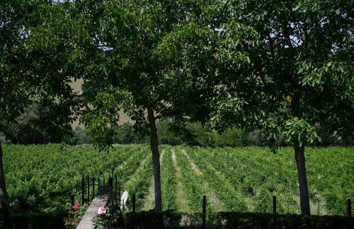 Tenuta Santa Cristina - Foto 58