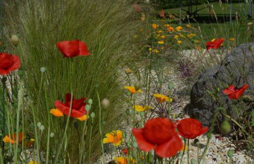 Ferienwohnung Omert - Foto 13