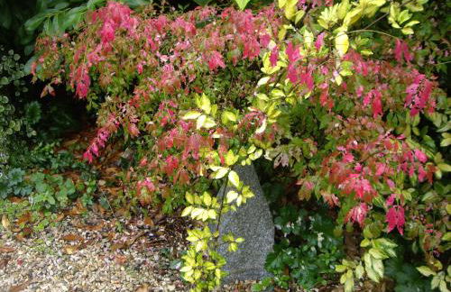 La Casita con piscina privada de tres dormitorios - Photo 62