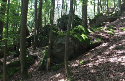 Ferienwohnung in Furth im Wald - Foto 16