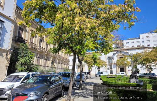 Jerez Centro Historico - Foto 40