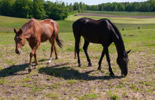 Trójmiasto nad jeziorem DOM -ECHOCHATA - Foto 19