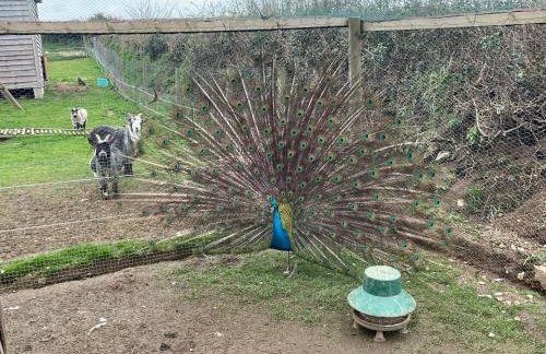 Luxury countryside retreat with hot tub - Foto 17