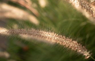 TEKOÁ - Cabana Pitanga - Barreiro, Araxá - Foto 44