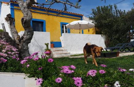 Monte da ti Luzia - Foto 1