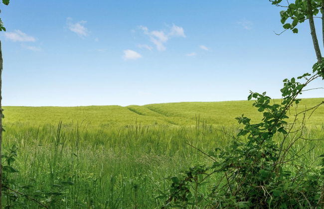 "Thorwer" - 250m from the sea - Foto 2