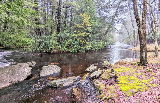 Trail House by Avantstay Walk to Creek Deck - Foto 3