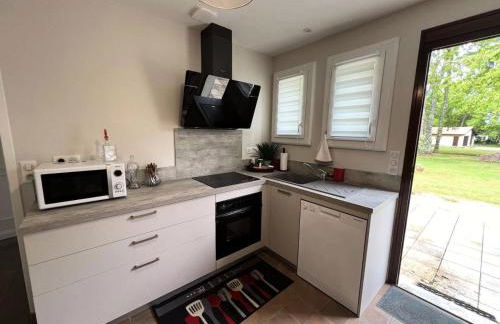 Résidence 105-st Vivien De Medoc - 105 - Superbe maison avec son grand parc verdoyant MAE-2871 - Foto 10